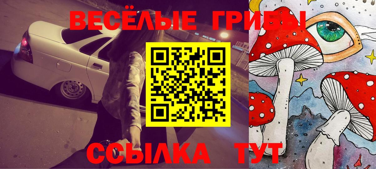 как найти   Вход с VPN  Михайловка  Галлюциногенные грибы Psilocybe 